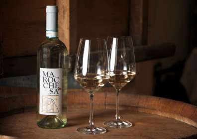 Pinot Grigio